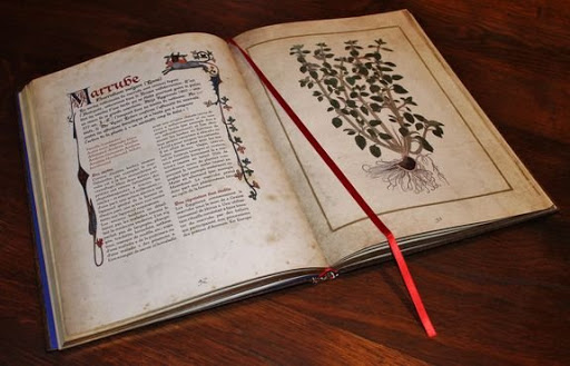 Le livre des simples : Les vertus des plantes médicinales N.E.